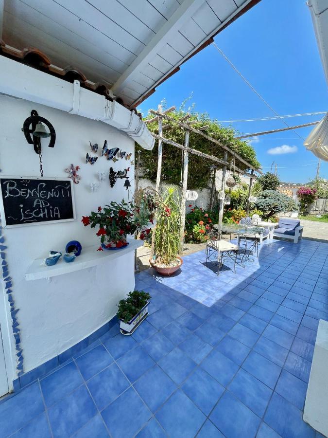 La Bicocca Di Annavi Bed & Breakfast Forio  ภายนอก รูปภาพ
