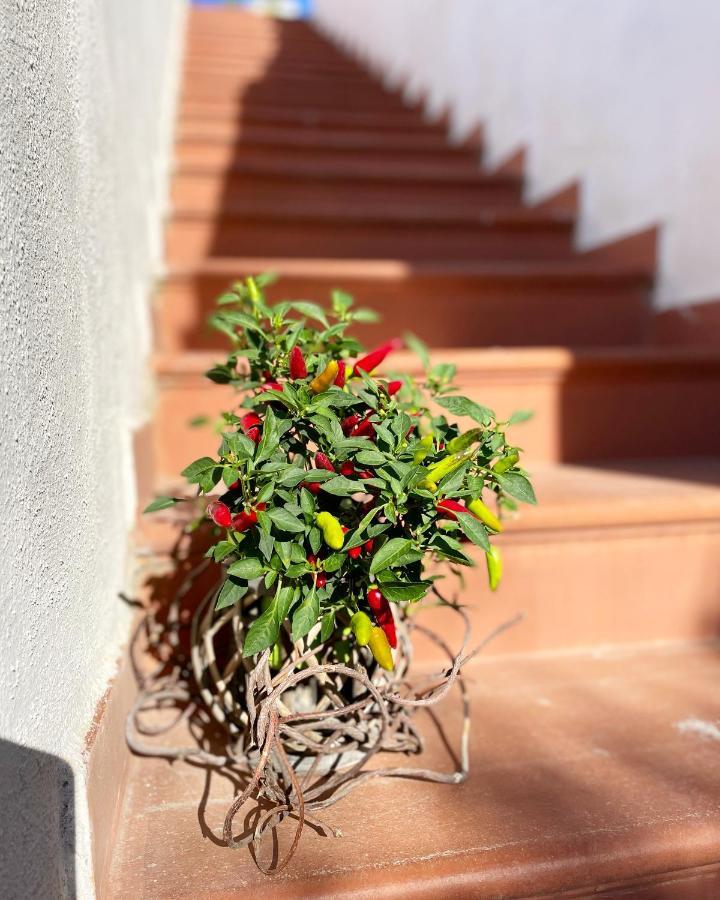 La Bicocca Di Annavi Bed & Breakfast Forio  ภายนอก รูปภาพ
